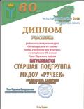 Диплом участника районного смотра- конкурса 2016 год Диплом участника районного смотра- конкурса 2016 год